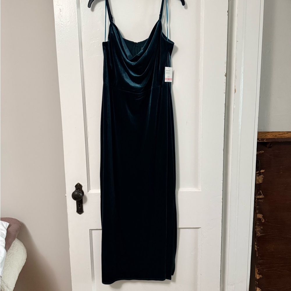 NWT! Taylor Velvet Maxi Dress in Rich Green
